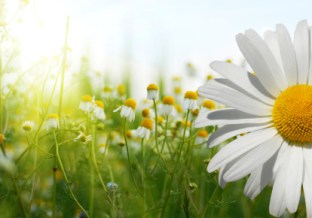 istock_000011742381xsmall