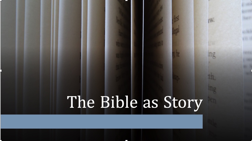 Enter the story…