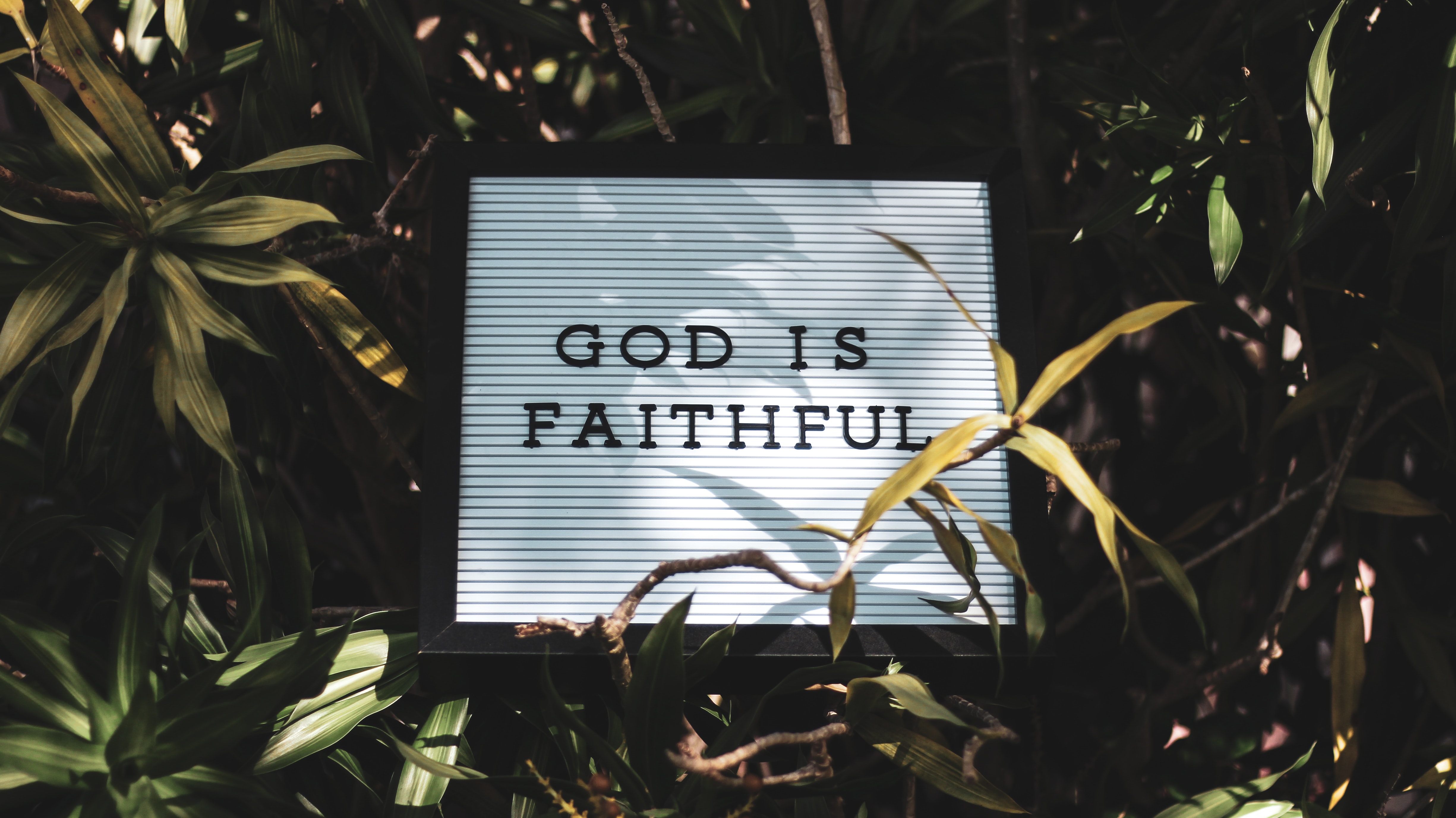 Are you Exercising your Faith Muscles?