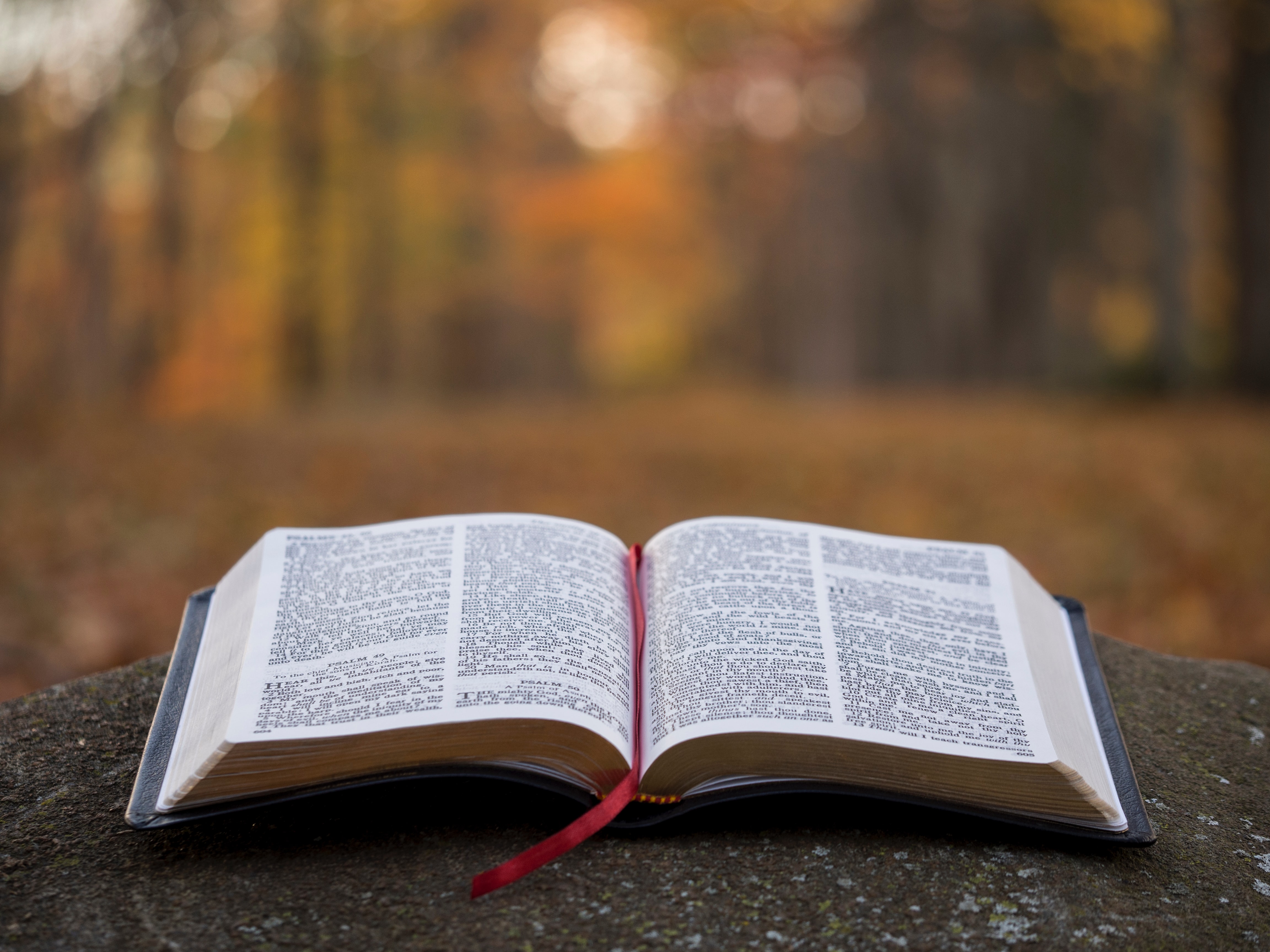 Values that Guide Worship