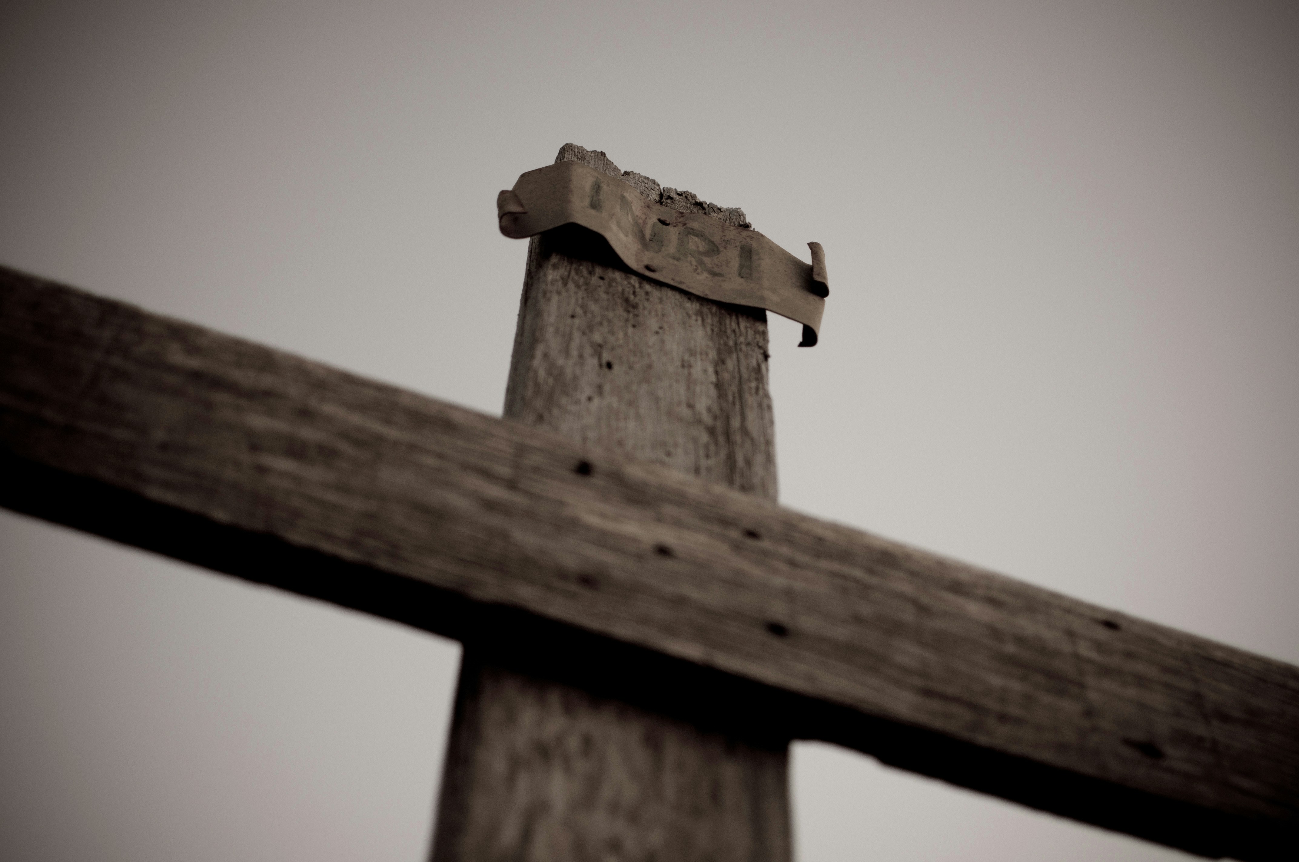 The week when the King Died…